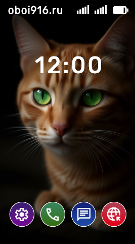 Рыжий кот в темноте, крупным планом