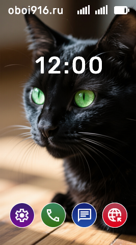 Чёрный кот с зелёными глазами