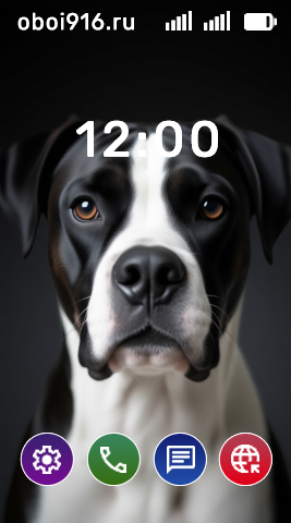 Собака боксёр