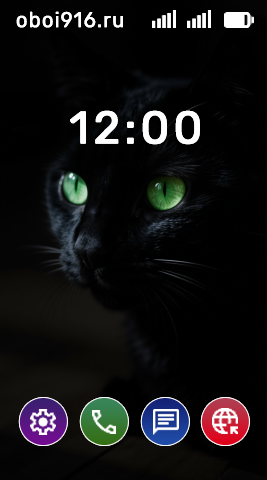 Чёрный кот в темноте