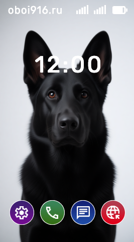 Чёрный дог на белом фоне