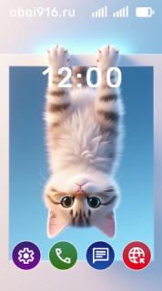 Котёнок вверх лапами