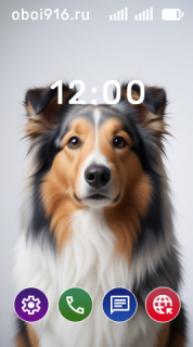 Шотландская овчарка