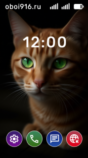 Рыжий кот в темноте, крупным планом