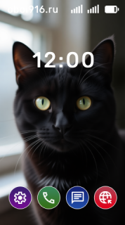 Чёрный котик на фоне окна