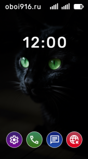 Чёрный кот в темноте