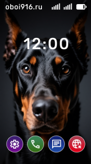 Доберман пинчер