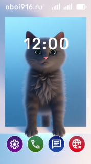 Серый пушистый котёнок