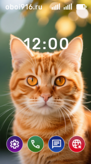 Рыжий котик смотрит в камеру