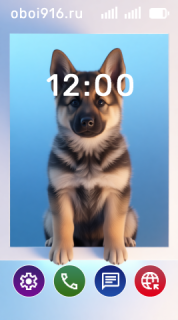 Щенок овчарки