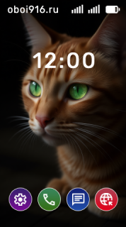 Рыжий кот на чёрном фоне