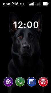 Чёрный пёс на чёрном фоне